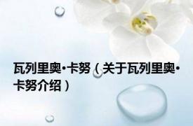 瓦列里奥·卡努（关于瓦列里奥·卡努介绍）
