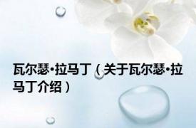 瓦尔瑟·拉马丁（关于瓦尔瑟·拉马丁介绍）