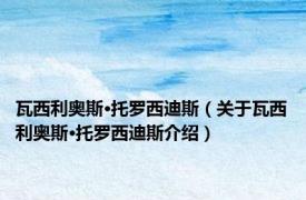 瓦西利奥斯·托罗西迪斯（关于瓦西利奥斯·托罗西迪斯介绍）