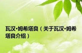 瓦汉·姆希塔良（关于瓦汉·姆希塔良介绍）