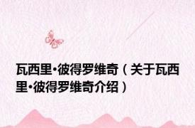 瓦西里·彼得罗维奇（关于瓦西里·彼得罗维奇介绍）