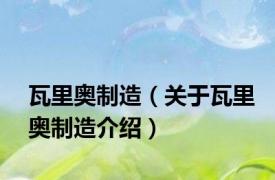 瓦里奥制造（关于瓦里奥制造介绍）
