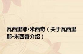 瓦西里耶·米西奇（关于瓦西里耶·米西奇介绍）