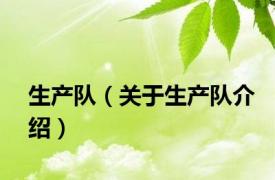 生产队（关于生产队介绍）