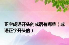 正字成语开头的成语有哪些（成语正字开头的）