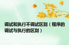 调试和执行不调试区别（程序的调试与执行的区别）