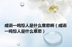 成语一鸣惊人是什么意思啊（成语一鸣惊人是什么意思）