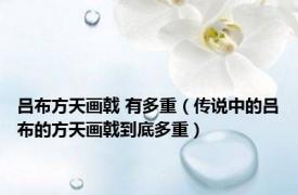 吕布方天画戟 有多重（传说中的吕布的方天画戟到底多重）