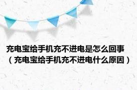 充电宝给手机充不进电是怎么回事（充电宝给手机充不进电什么原因）