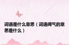 词语是什么意思（词语阔气的意思是什么）