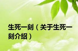生死一刻（关于生死一刻介绍）