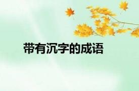 带有沉字的成语