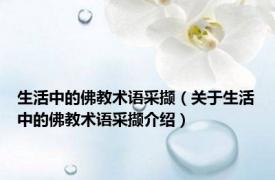 生活中的佛教术语采撷（关于生活中的佛教术语采撷介绍）