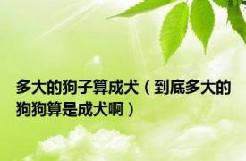 多大的狗子算成犬（到底多大的狗狗算是成犬啊）