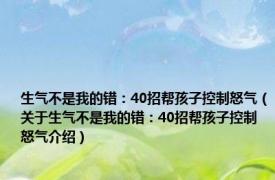 生气不是我的错：40招帮孩子控制怒气（关于生气不是我的错：40招帮孩子控制怒气介绍）