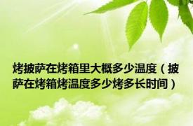 烤披萨在烤箱里大概多少温度（披萨在烤箱烤温度多少烤多长时间）