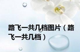路飞一共几档图片（路飞一共几档）
