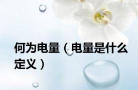 何为电量（电量是什么定义）