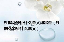 杜鹃花象征什么意义和寓意（杜鹃花象征什么意义）