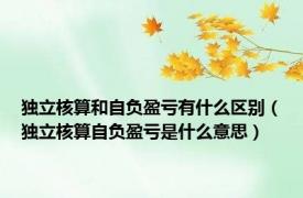 独立核算和自负盈亏有什么区别（独立核算自负盈亏是什么意思）