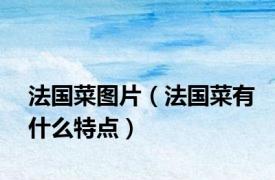 法国菜图片（法国菜有什么特点）
