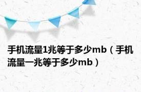 手机流量1兆等于多少mb（手机流量一兆等于多少mb）