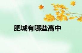 肥城有哪些高中