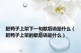 赶鸭子上架下一句歇后语是什么（赶鸭子上架的歇后语是什么）