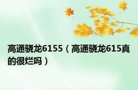 高通骁龙6155（高通骁龙615真的很烂吗）