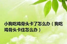 小狗吃鸡骨头卡了怎么办（狗吃鸡骨头卡住怎么办）