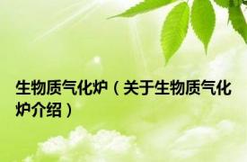 生物质气化炉（关于生物质气化炉介绍）