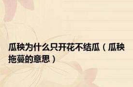 瓜秧为什么只开花不结瓜（瓜秧拖蔓的意思）