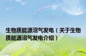 生物质能源沼气发电（关于生物质能源沼气发电介绍）