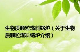 生物质颗粒燃料锅炉（关于生物质颗粒燃料锅炉介绍）