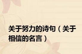 关于努力的诗句（关于相信的名言）