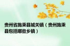 贵州省施秉县城关镇（贵州施秉县包括哪些乡镇）