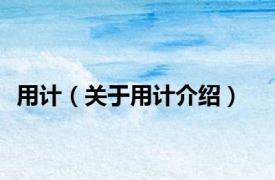 用计（关于用计介绍）