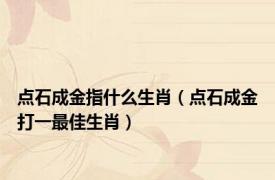点石成金指什么生肖（点石成金打一最佳生肖）