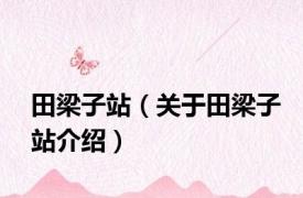 田梁子站（关于田梁子站介绍）