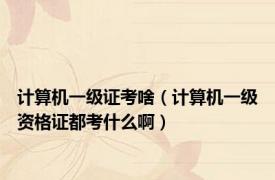 计算机一级证考啥（计算机一级资格证都考什么啊）