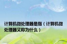 计算机微处理器是指（计算机微处理器又称为什么）