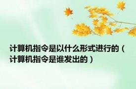 计算机指令是以什么形式进行的（计算机指令是谁发出的）