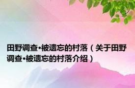 田野调查·被遗忘的村落（关于田野调查·被遗忘的村落介绍）