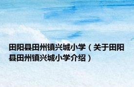 田阳县田州镇兴城小学（关于田阳县田州镇兴城小学介绍）