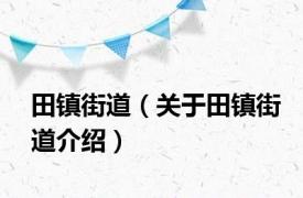 田镇街道（关于田镇街道介绍）