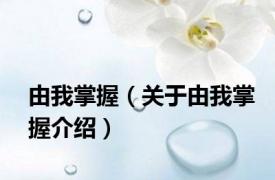 由我掌握（关于由我掌握介绍）