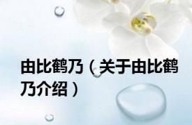 由比鹤乃（关于由比鹤乃介绍）