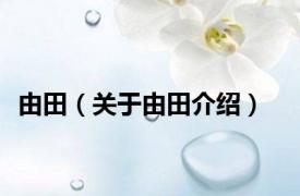 由田（关于由田介绍）