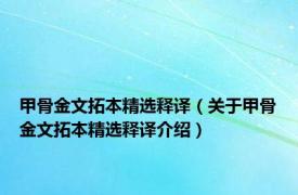 甲骨金文拓本精选释译（关于甲骨金文拓本精选释译介绍）