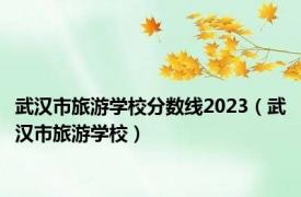 武汉市旅游学校分数线2023（武汉市旅游学校）